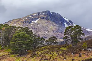 Affric: Glen Affric - mountain called munro and scots pine