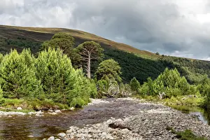 David Chapman: Glen Feshie - Cairngorms - Scotland - UK