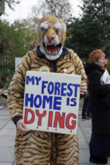 Protest: Global Warming - Campaigners in tiger costume protesting