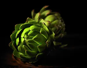 Artichoke: Globe artichoke