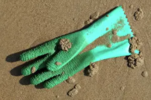 Rubbish: Glove on the beach, The Netherlands, Zeeland