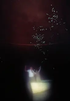 Gnats: GLOW WORMS - larval stage of Fungus Gnat