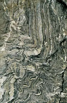 Gneiss: GNEISS