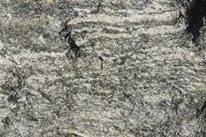 Gneiss: Gneiss