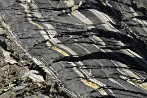 Preserves: Gneiss