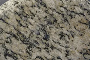 Metamorphosed: Gneiss