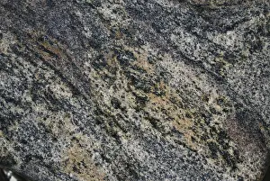 Coarse: Gneiss