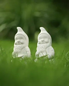 Comedy: Gnome