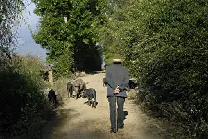 Shepherdess: Goalkeeper Pork in Yunnan