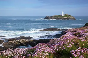Godrevy: Godrevy Island and Lighthouse - from Gwithian - thrift