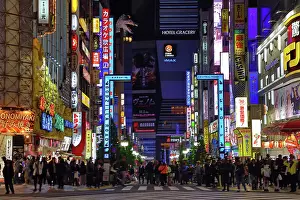 Signs: Godzilla Road and illuminated signs of Kabukicho in Shinjuku