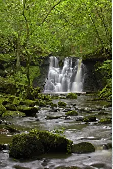 Falling: Goit Stock Falls, near Harden, West Yorkshire, England