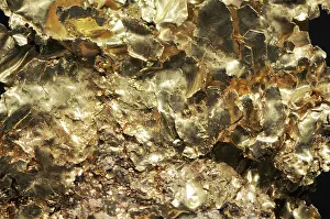 Transition: Gold