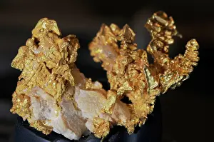 Transition: Gold