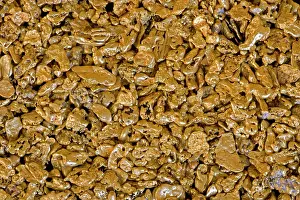 Nuggets: Gold Nuggets