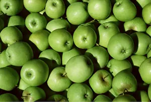 Apples: Golden Delicious Apples