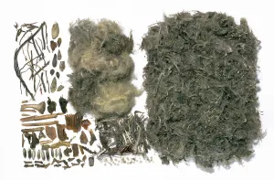 Faeces: Golden Eagle - pellet contents