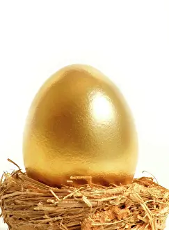 Wealth: Golden egg