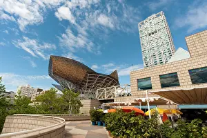 Arts: Golden fish by Frank Owen Gehry and Hotel
