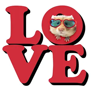 070219: Golden Hamster looking through the word Love