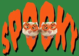 Text: Golden Hamsters looking through the word Spooky
