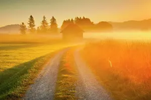 Gravel: Golden morning light streams through fields of fog