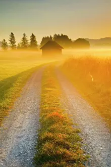 Gravel: Golden morning light streams through fields of fog