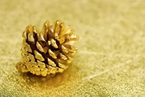 Stills: Golden pine cone on golden underground Goldenen
