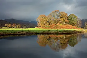 Lakeland: Golden reflection in the river Brathey