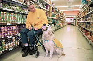 Shopping: Golden Retriever - aid dog assisting owner in wheelchair