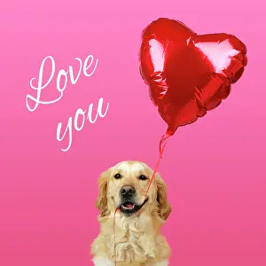 Text: Golden Retriever Dog - holding heart shaped balloon