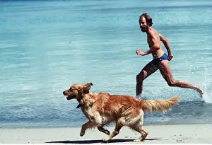 Exercising: GOLDEN RETRIEVER DOG - Runs with man on beach