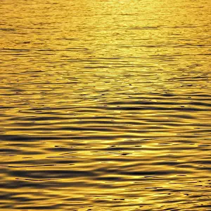 Waves: Golden sea waves in sunset glow as surface background