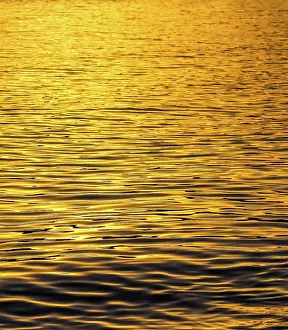 Waves: Golden sea waves in sunset glow as surface background
