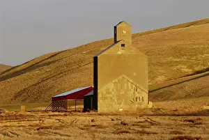 Storage: Golden Sunset, Grain Elevator, Pomeroy, WA