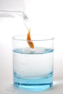 Carassius: Goldfish transferred to a glass of water to another