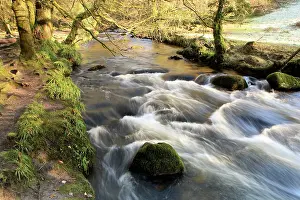 Fowey: The Golitha Falls