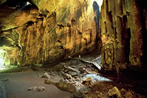 Swiftlets: GOMANTONG Caves - Home to swiftlets and bat species