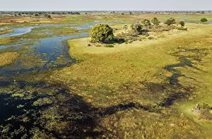 Gomoti: The Gomoti River with its adjoining freshwater marshland