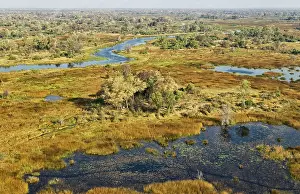 Gomoti: The Gomoti River with its adjoining freshwater marshland