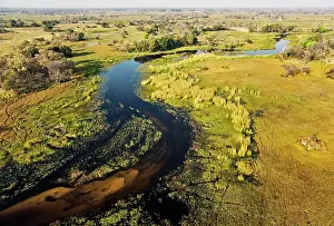 Gomoti: The Gomoti River with its adjoining freshwater marshland