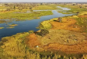 Gomoti: The Gomoti River with its adjoining freshwater marshland