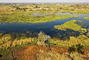 Gomoti: The Gomoti River with its adjoining freshwater marshland