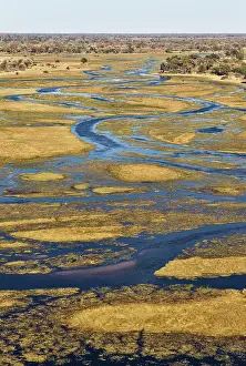 Gomoti: The Gomoti River with its channels, islands and
