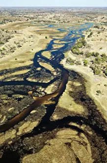 Sandbanks: The Gomoti River with its channels, islands, sandbanks
