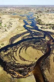 Sandbanks: The Gomoti River with its channels, islands, sandbanks