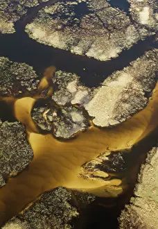 Sandbanks: The Gomoti River with its labyrinthine channels