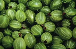 Gooseberry: Gooseberry