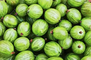 Gooseberry: Gooseberry