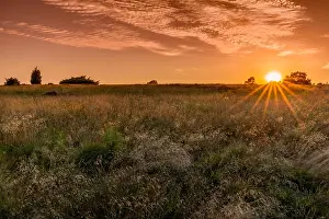 Reflex: A gorgeous sunset on the Lunenburger Heath in Lower Saxony